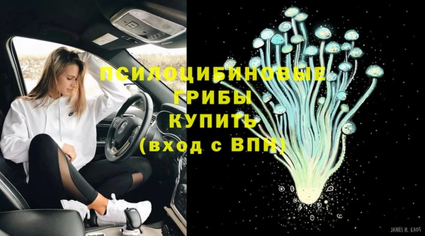 гидра Ладушкин