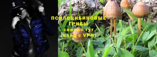 spice Куйбышев