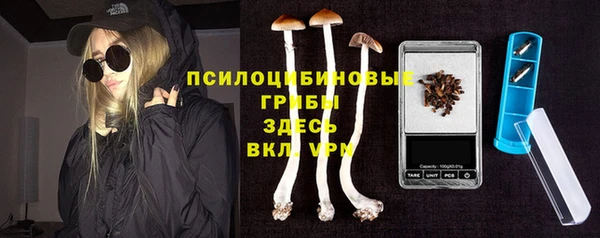 spice Куйбышев