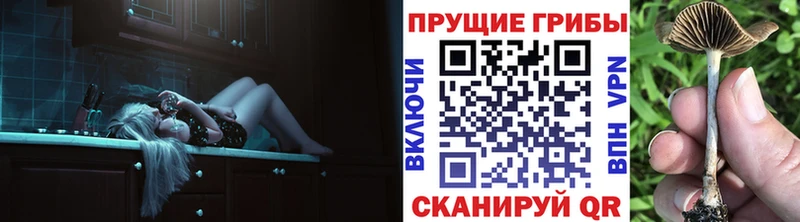 mega   это формула  Псилоцибиновые грибы мухоморы  Шимановск 